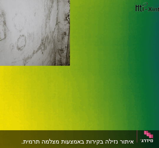 קיר עם עובש ושקע חשמלי